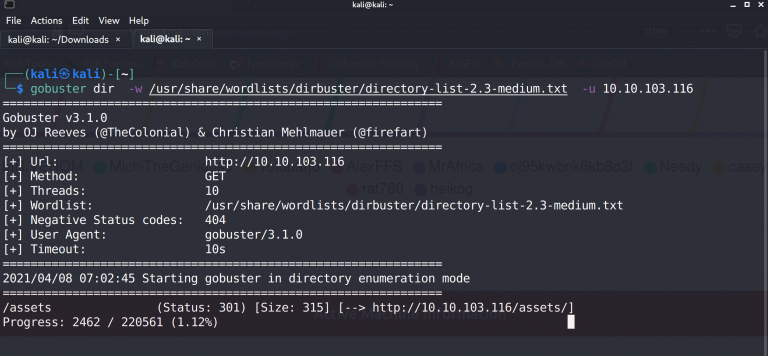 Gobuster Finding Files Directories And Subdomains Cybersecbits